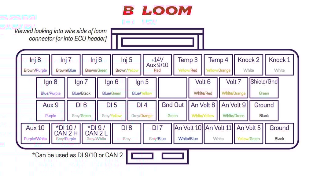 Link Wiring harness B - 2,5m