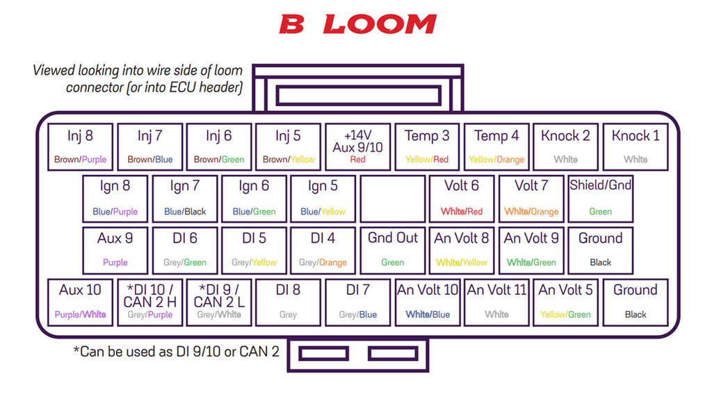 Link Wiring harness B - 5m