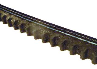 Drive belt/V belt 10X1125