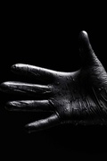 Assembly gloves / Work gloves black (medium)