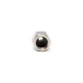 Adapter M10 x 1 Female to 1/8 NPT Male - Stainless Steel