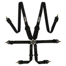 QSP 6 Point Belt FHR Endurance FIA