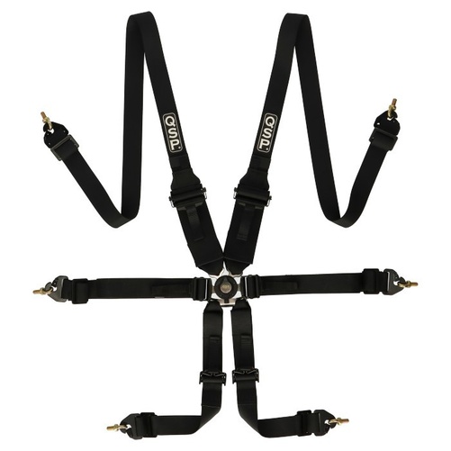QSP 6 Point Belt FHR Endurance FIA